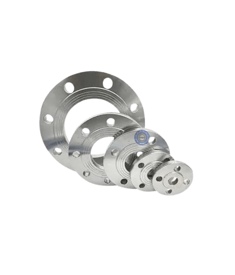 SS Flange